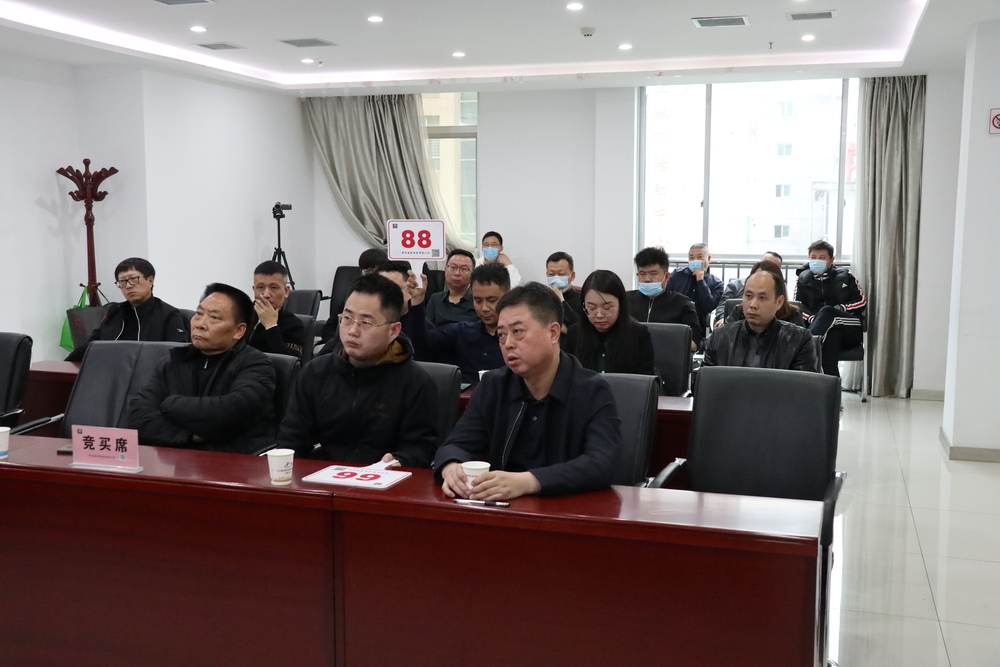 2021-3-17安康发投股权拍卖1.JPG
